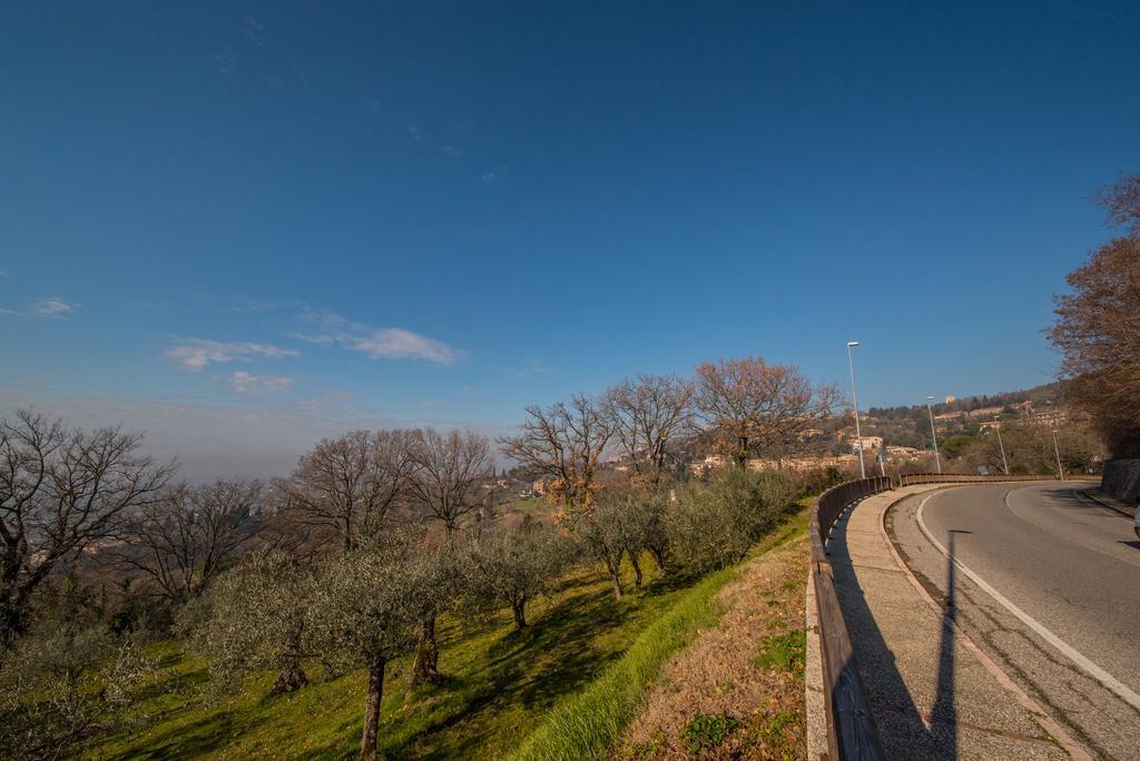 Da Bacchetta Assisi