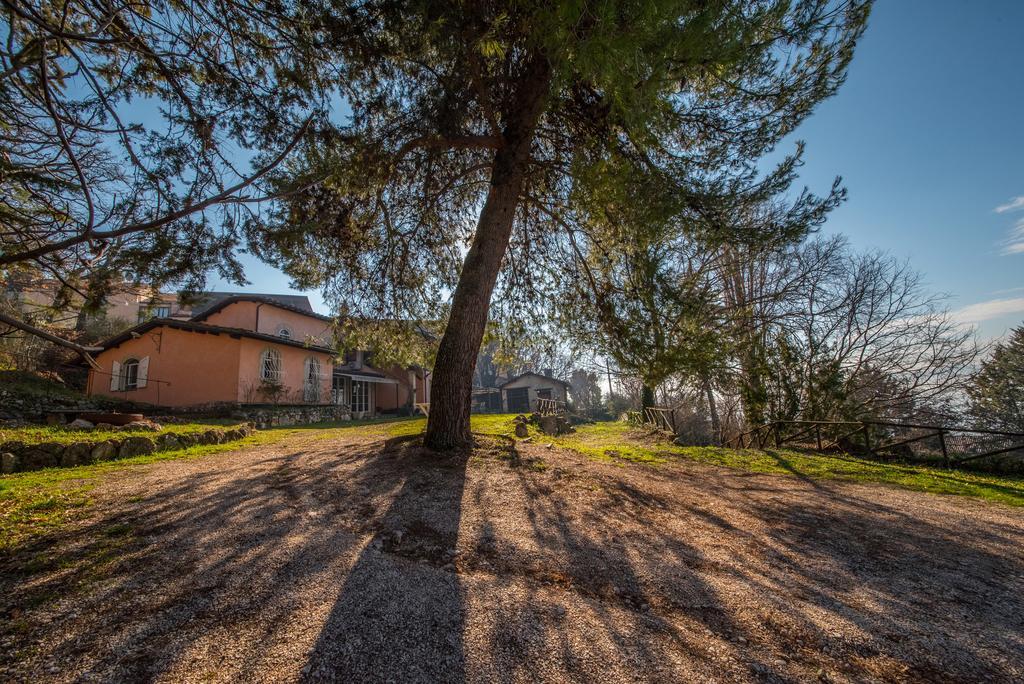 Da Bacchetta Apartment Assisi