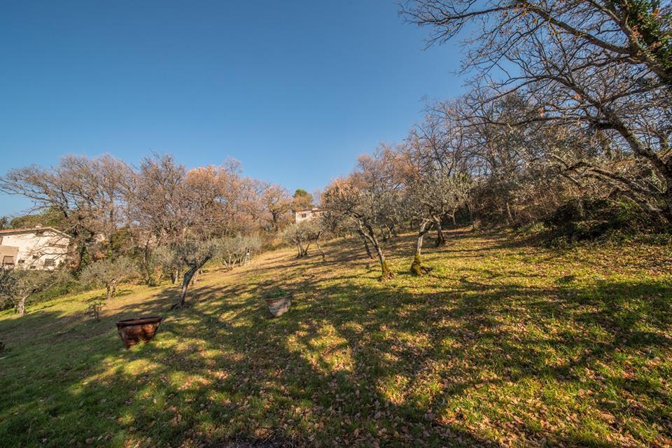 Apartment Da Bacchetta Assisi